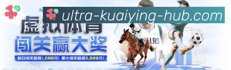 互动解说服务